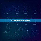 87年的兔是什么命婚配，1987年属兔的人婚配