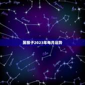 属猴子2023年每月运势