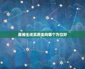 属相壬戌买房坐向哪个方位好，属狗，82年出生，大海水命，买房子几层，那