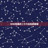 1990年腊月二十六出生的属相，1990年腊月24出生的人属相到底是什