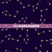 2023年运势生肖运势详解，2023 运势生肖运势详解免费