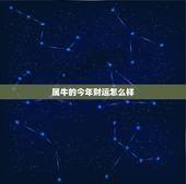 属牛的今年财运怎么样，明年属牛的人的运气怎么样