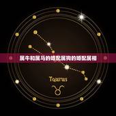 属牛和属马的婚配属狗的婚配属相，属牛和属马的相配吗