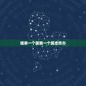 姐弟一个属猴一个属虎咋办，兄弟姐妹属虎和猴也不合吗，怎么样化解