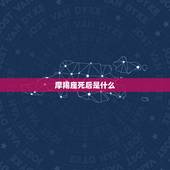 摩羯座死后是什么，哪些明星是摩羯座