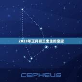 2023年正月初三出生的宝宝，2023年阴历正月初三属什么？