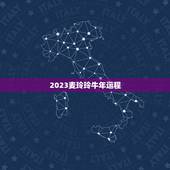 2023麦玲玲牛年运程，麦玲玲属马人2023年运势运程？
