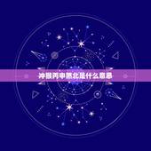 冲猴丙申煞北是什么意思