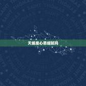 天蝎座心思细腻吗，处女座的心思很细腻么