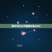 属牛为什么不能穿红色2023，属牛的人跟红色相冲吗？
