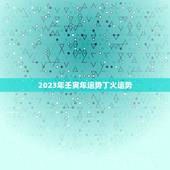 2023年壬寅年运势丁火运势
