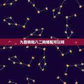 九四狗和八二狗婚配可以吗，九四年属狗的婚配