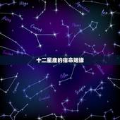 十二星座的宿命姻缘，水瓶座的星座宿命