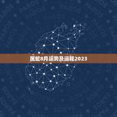 属蛇8月运势及运程2023