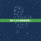 属牛人2023年的生肖贵人，2023年运好中头奖的生肖