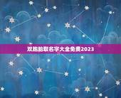 双胞胎取名字大全免费2023，双胞胎起名字2023免费八字起名？