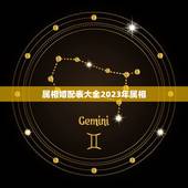 属相婚配表大全2023年属相，属相婚配