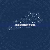 牛年宝宝起名大全集，属牛男孩小名洋气点的怎么取？