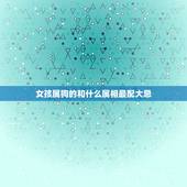 女孩属狗的和什么属相最配大忌，女属狗的和什么属相最配