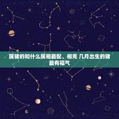 属猪的和什么属相最配、相克 几月出生的猪最有福气