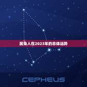 属兔的人犯太岁一览表(2023年运势大介绍)