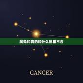 属兔和狗的和什么属相不合，属兔和什么属相相克