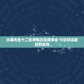水墨先生十二生肖每日运势事业 今日财运最旺的生肖
