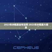 2023年水瓶座全年运势 2023年水瓶座大爆发