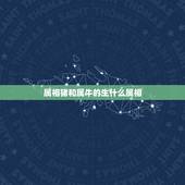 属相猪和属牛的生什么属相，老公属猪我属牛生个什么属相的包包