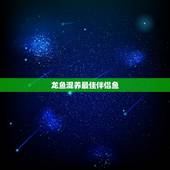 龙鱼混养最佳伴侣鱼，鹦鹉鱼和什么鱼混养好？鹦鹉鱼混养最佳搭配