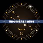 属相鸡狗猪牛一家能相处好吗，一家人属相有猴鸡狗猪好不好