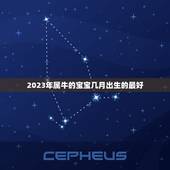 2023年属牛的宝宝几月出生的最好，属牛几月出生大富大贵2023