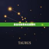 秦皇岛能看到流星雨吗，天龙座流星雨观测地点