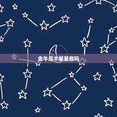 金牛是木星星座吗，哪些星座属于木星