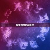 属蛇的桃花运在哪一年(介绍蛇年桃花年份)