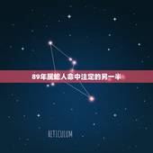 89年属蛇人命中注定的另一半，89年属蛇俩个在一起好不好
