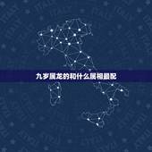 九岁属龙的和什么属相最配，生肖配对，属龙的和什么属相最配