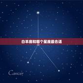 白羊座和哪个星座最合适，白羊座和双子座合适吗