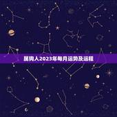 属狗人2023年每月运势及运程，1982属狗人2023年每月运势及运程