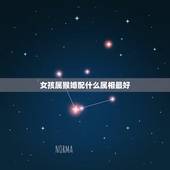 女孩属猴婚配什么属相最好，属猴男和什么属相最相配