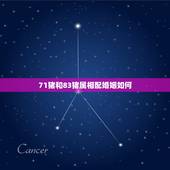 71猪和83猪属相配婚姻如何，1971年男属猪和1983年女属猪是否相