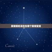 属猪属蛇适合生哪个属相宝宝，属蛇和属猪的能做伴侣吗？请高人请点，另个要