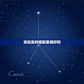 龙和龙的婚配属相好吗，和龙相配的属相有哪些？最好的应该是什么呢？