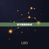 双子座男的特点，双子座男爱上你的表现