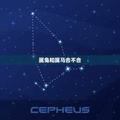 属兔和属马合不合，属兔和属马相配吗