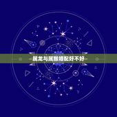 属龙与属猴婚配好不好，属龙的和属猴的相配吗