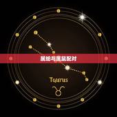 属蛇与什么属相最配对(介绍配对组合)