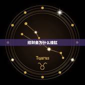 招财鱼为什么撞缸，我家的招财鱼为什么要撞水族箱