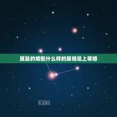 属鼠的婚配什么样的属相是上等婚，生肖鼠跟什么最配，属鼠的属相婚配表