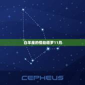 白羊座的情劫塔罗11月，白羊座2023 年运势详解